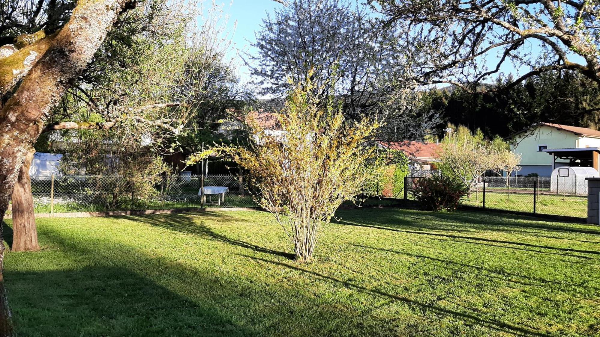 Saulxures-sur-Moselotte Chez Vovone 3 Etoiles Clevacances מראה חיצוני תמונה